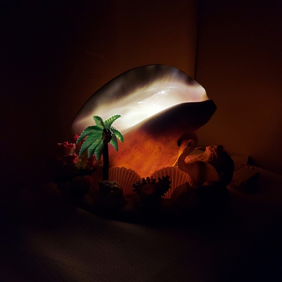 Conch TV  Accent Light Sea Shells Coral Palm Flamingo Rewired Battery 1960 - Picture 13 of 13